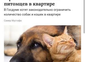 🐈В Госдуме предложили огран?...