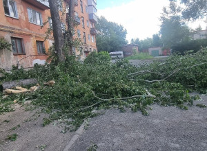 От подписчика
Управляющая ком...