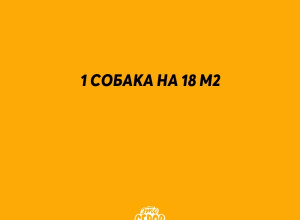 ❗️ Получать от властей разре?...