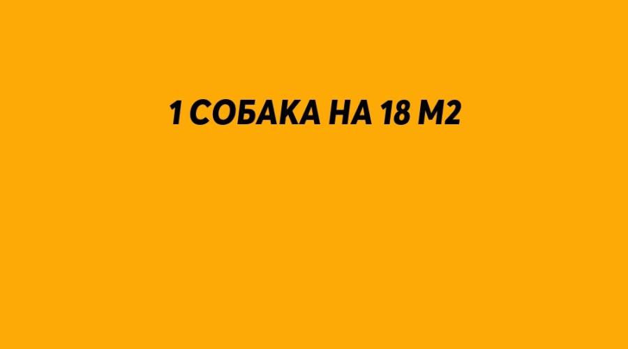 ❗️ Получать от властей разре?...