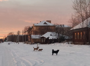 От подписчика:

Добрый вечер. 
...