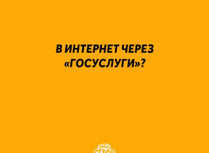 Вход в интернет через «Госусл?...