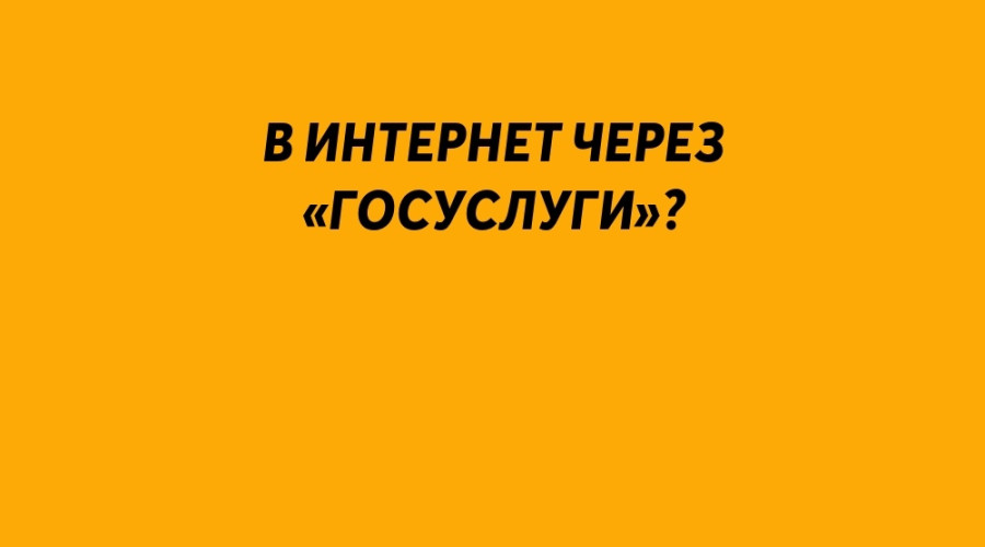 Вход в интернет через «Госусл?...