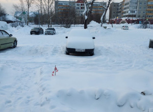 От подписчика:

Доброе утро. Ра...