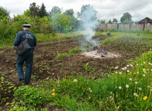 За палы травы и мусора в садах ...