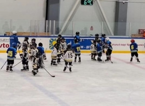 🏒💪17 февраля наши ребята из Д...
