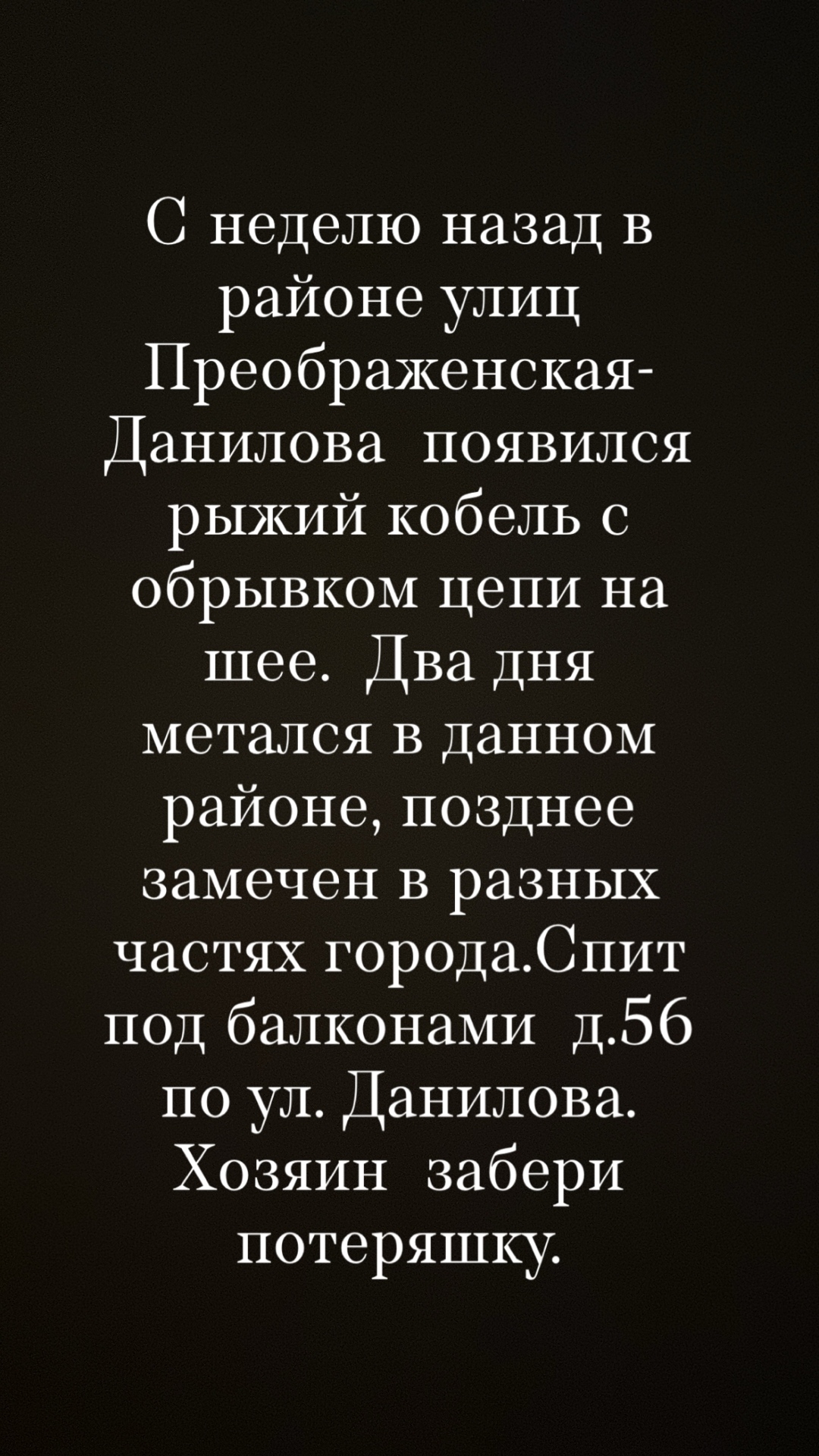 dfsdf